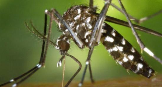 Dengue Cases Rise To 45,756 Nationwide